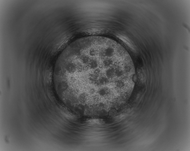 X0000095670499200801221207