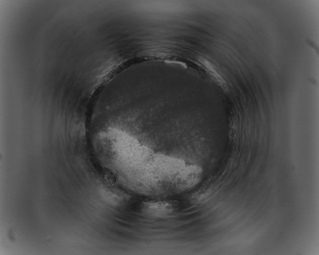 X0000095670500200801221207