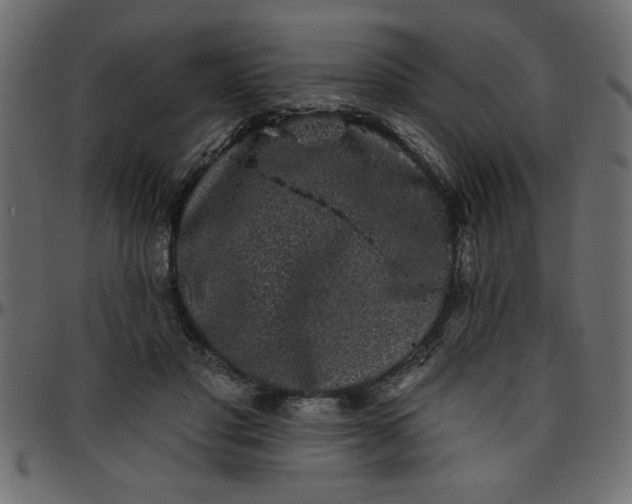 X0000095670501200801221207