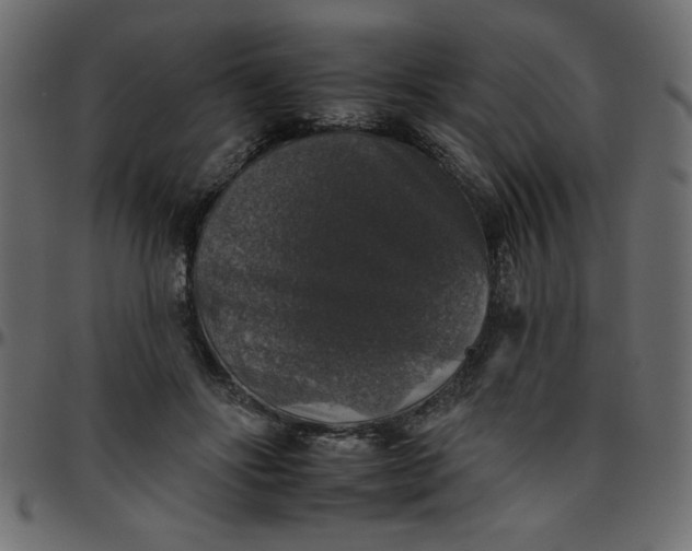 X0000095670502200801221207