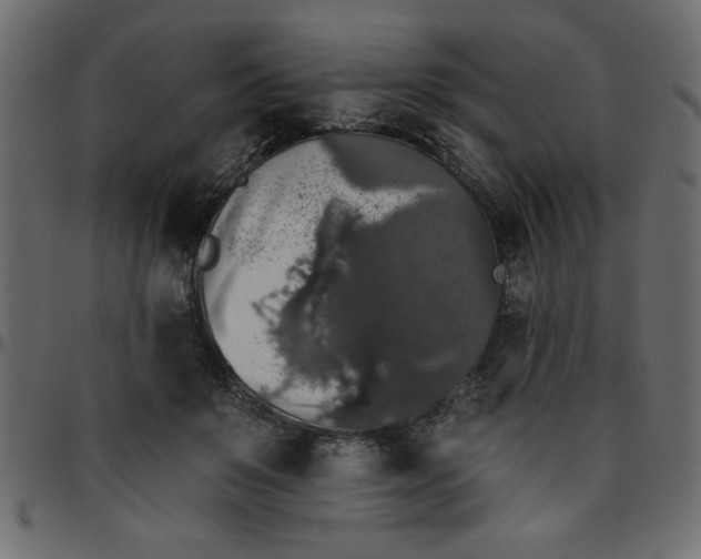 X0000095670503200801221207