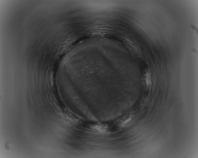 X0000095670504200801221207