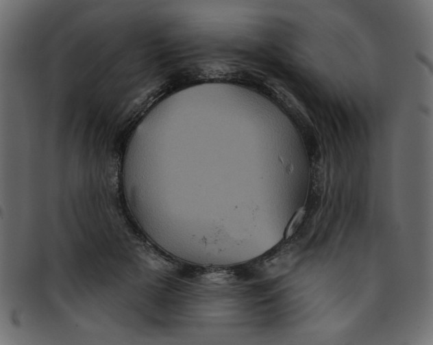 X0000095670505200801221207