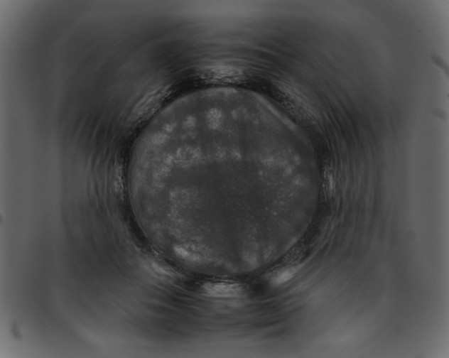 X0000095670506200801221207