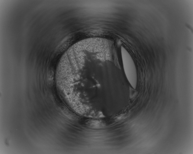 X0000095670507200801221207