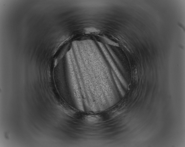 X0000095670508200801221207