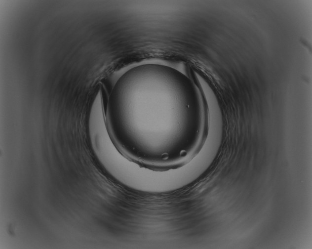 X0000095670509200801221207