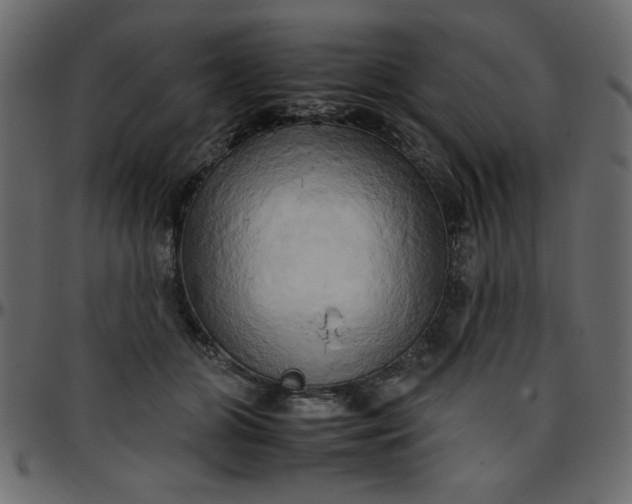 X0000095670510200801221207