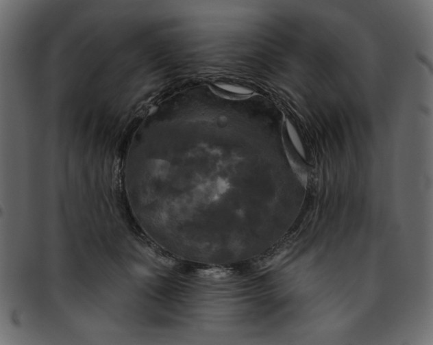 X0000095670511200801221207