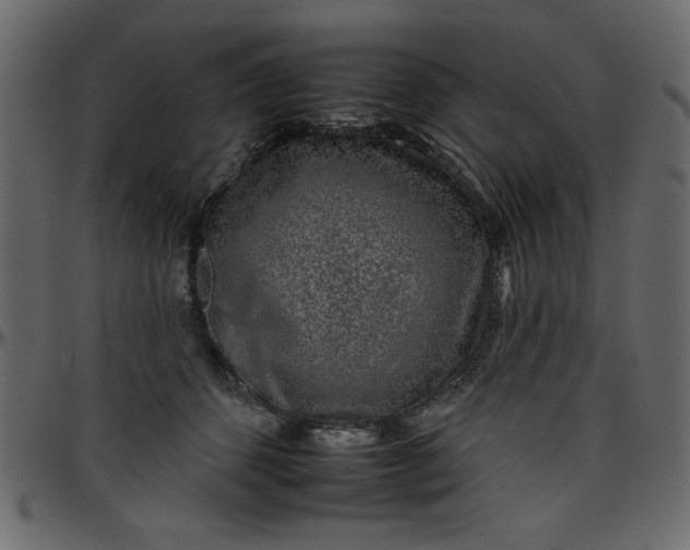 X0000095670512200801221207