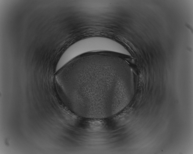 X0000095670513200801221207