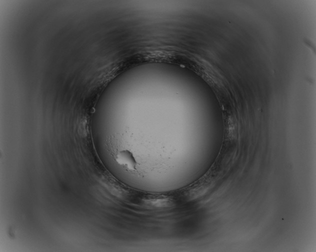 X0000095670514200801221207