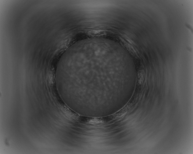 X0000095670515200801221207