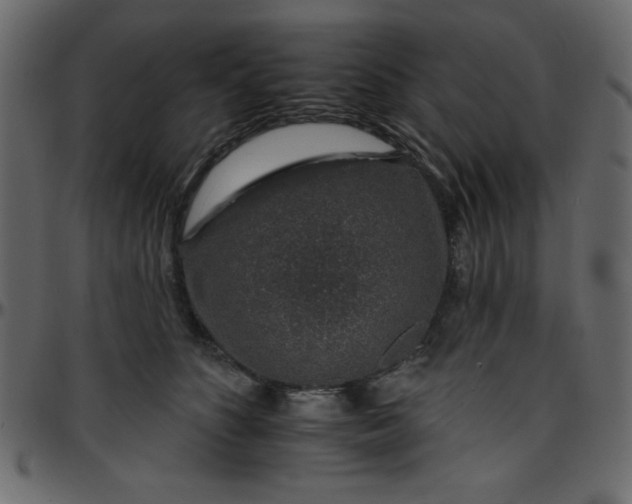 X0000095670516200801221207