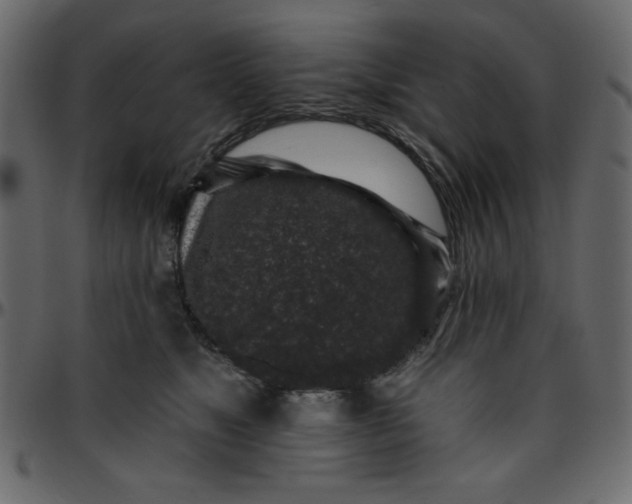 X0000095670517200801221207