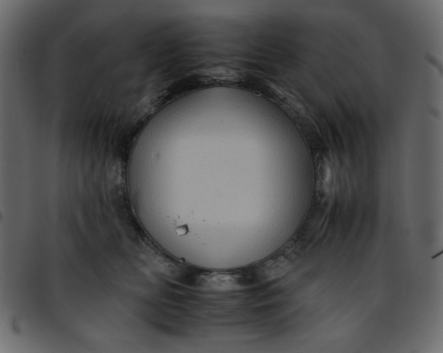 X0000095670518200801221207