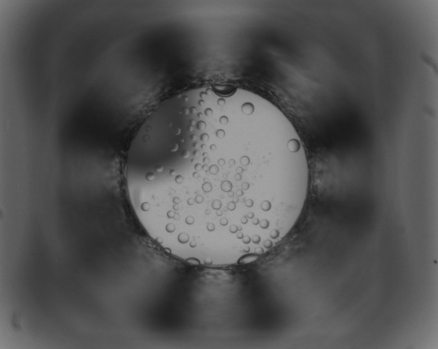 X0000095670519200801221207