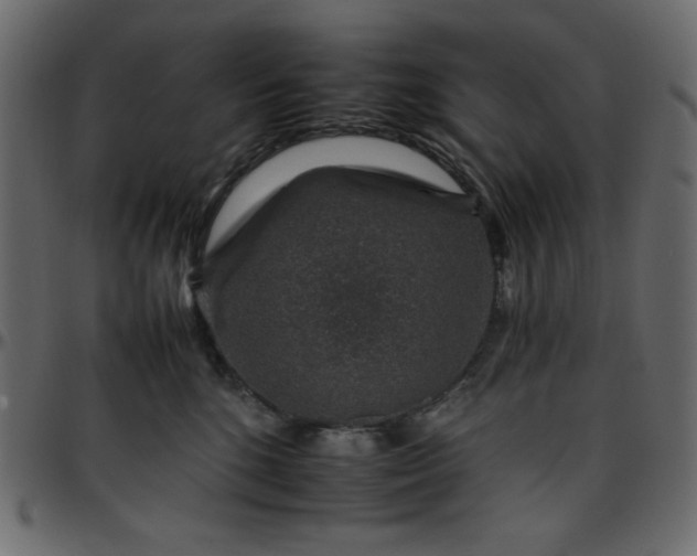 X0000095670520200801221207