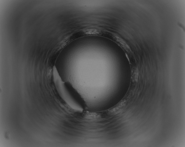 X0000095670521200801221207