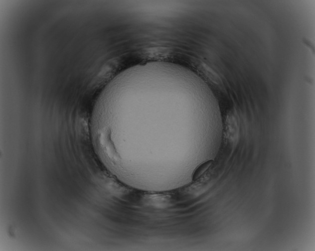 X0000095670522200801221207