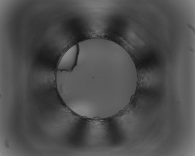 X0000095670523200801221207