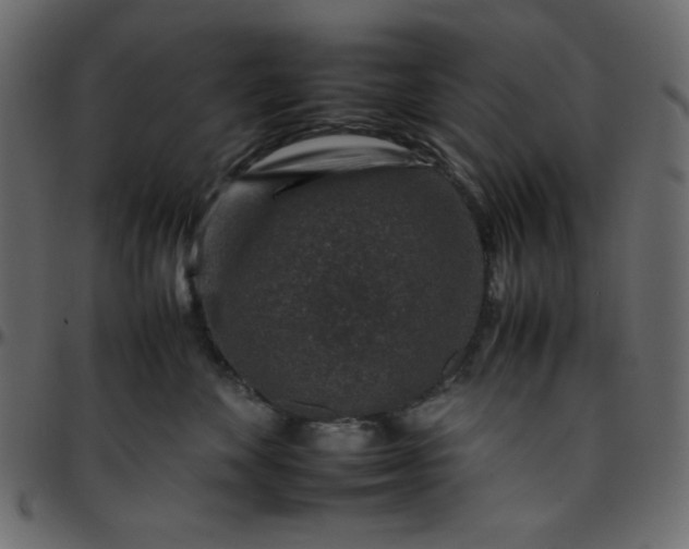 X0000095670524200801221207