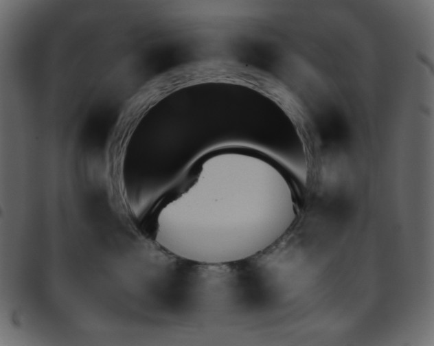 X0000095670525200801221207