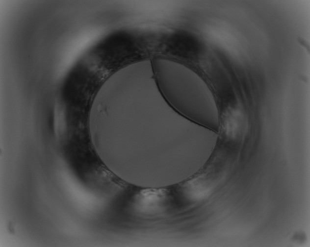 X0000095670526200801221207