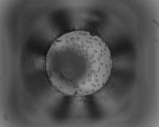 X0000095670527200801221207