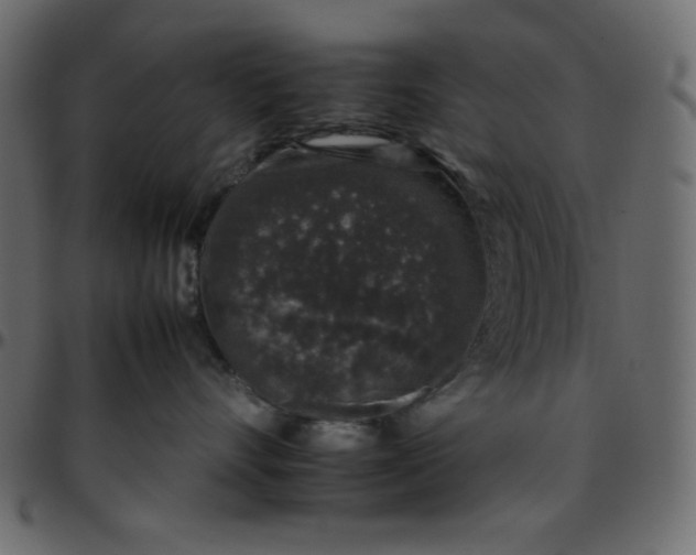 X0000095670528200801221207