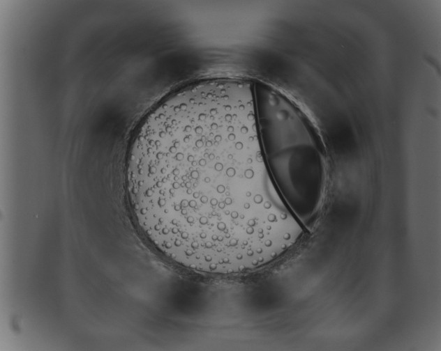 X0000095670529200801221206