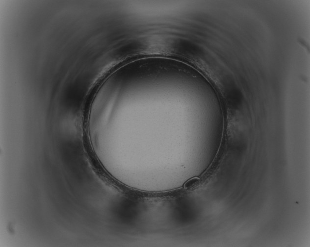 X0000095670530200801221206