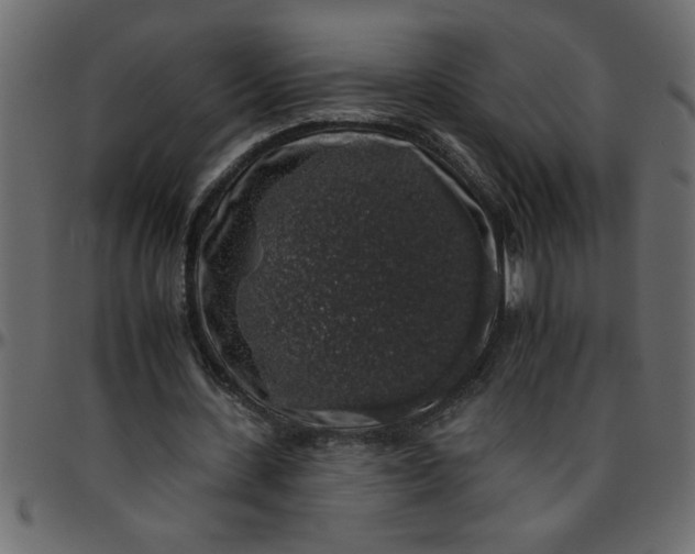 X0000095670531200801221206