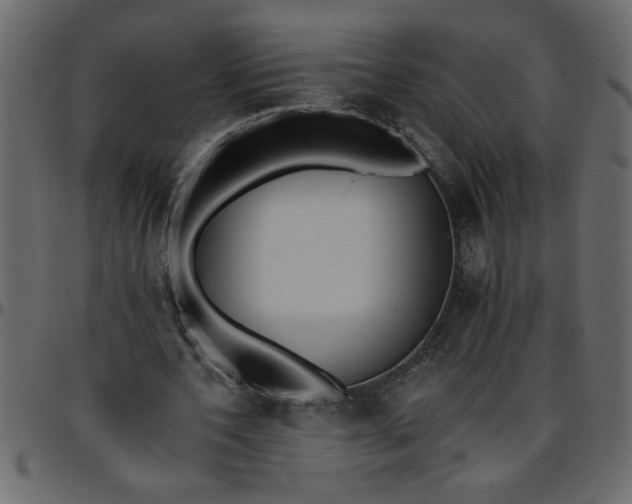 X0000095670532200801221206