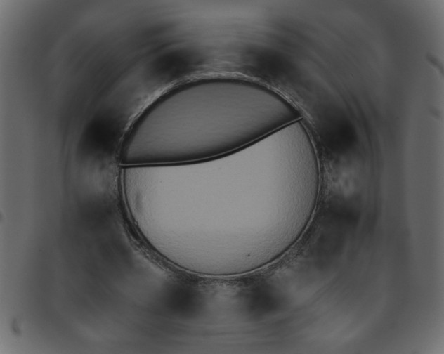 X0000095670533200801221206