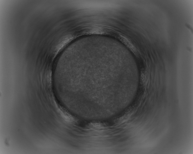 X0000095670534200801221206