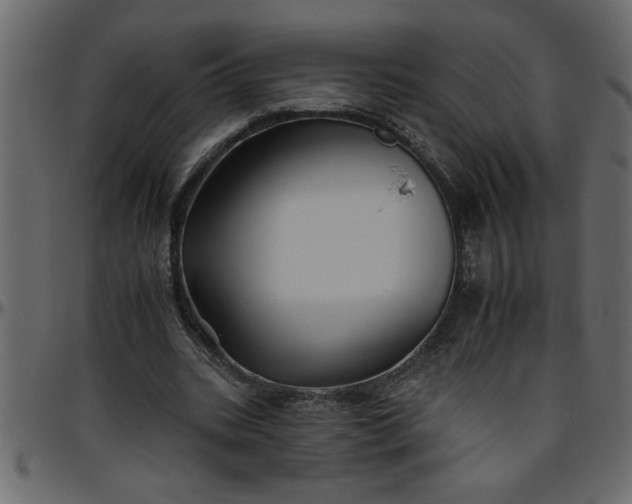 X0000095670535200801221206