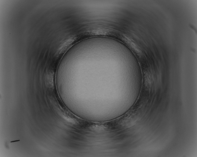 X0000095670537200801221206