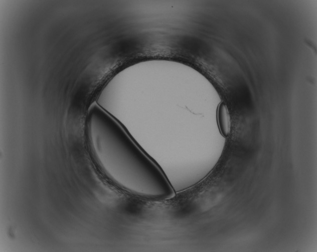 X0000095670538200801221206