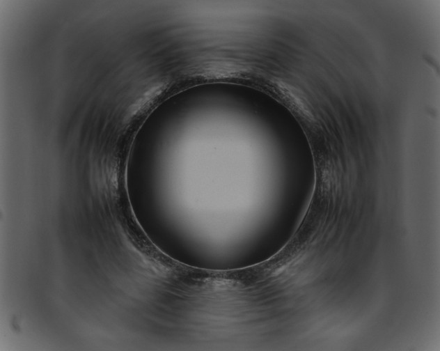 X0000095670539200801221206