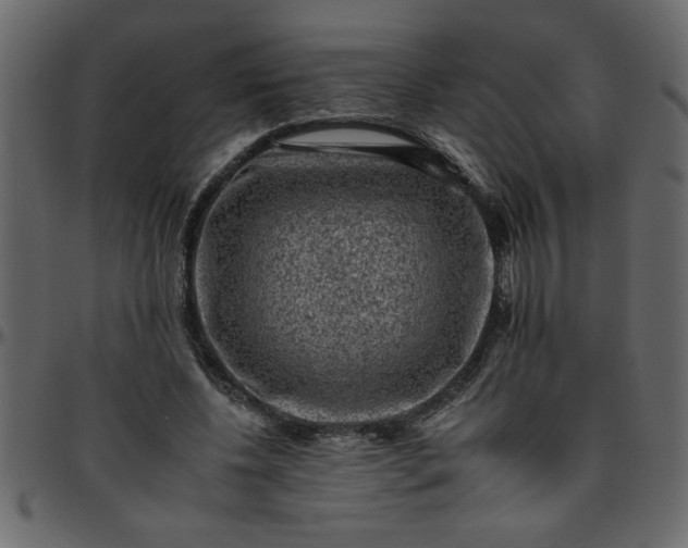 X0000095670540200801221206