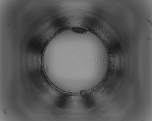 X0000095670541200801221206