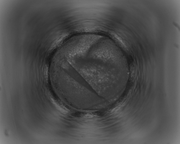 X0000095670542200801221206