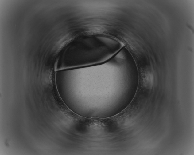 X0000095670543200801221206