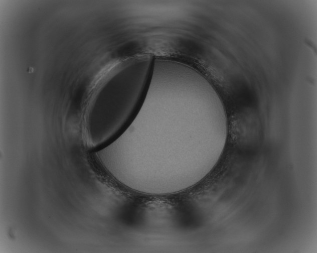 X0000095670544200801221206