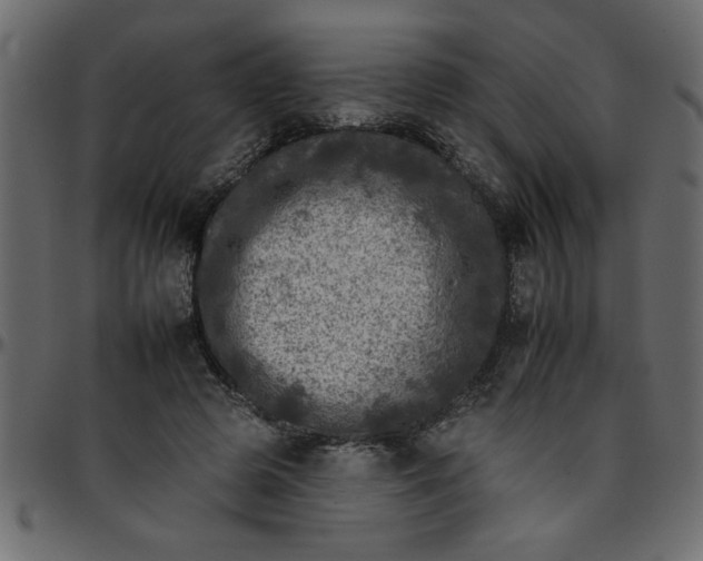 X0000095670545200801221206