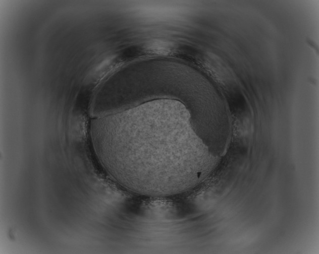 X0000095670546200801221206