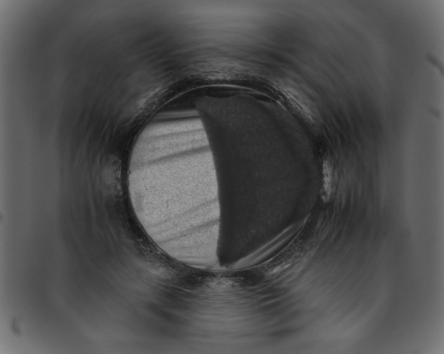 X0000095670547200801221206