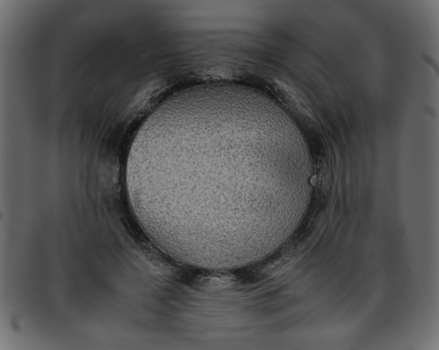 X0000095670548200801221206