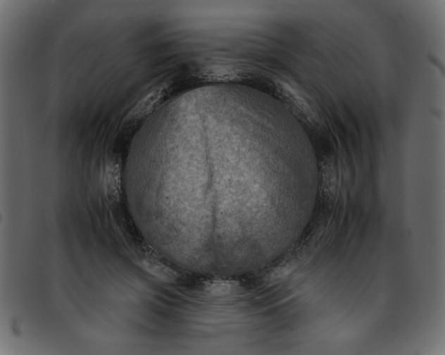 X0000095670549200801221206